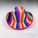 Rainbow Cowboy Hat